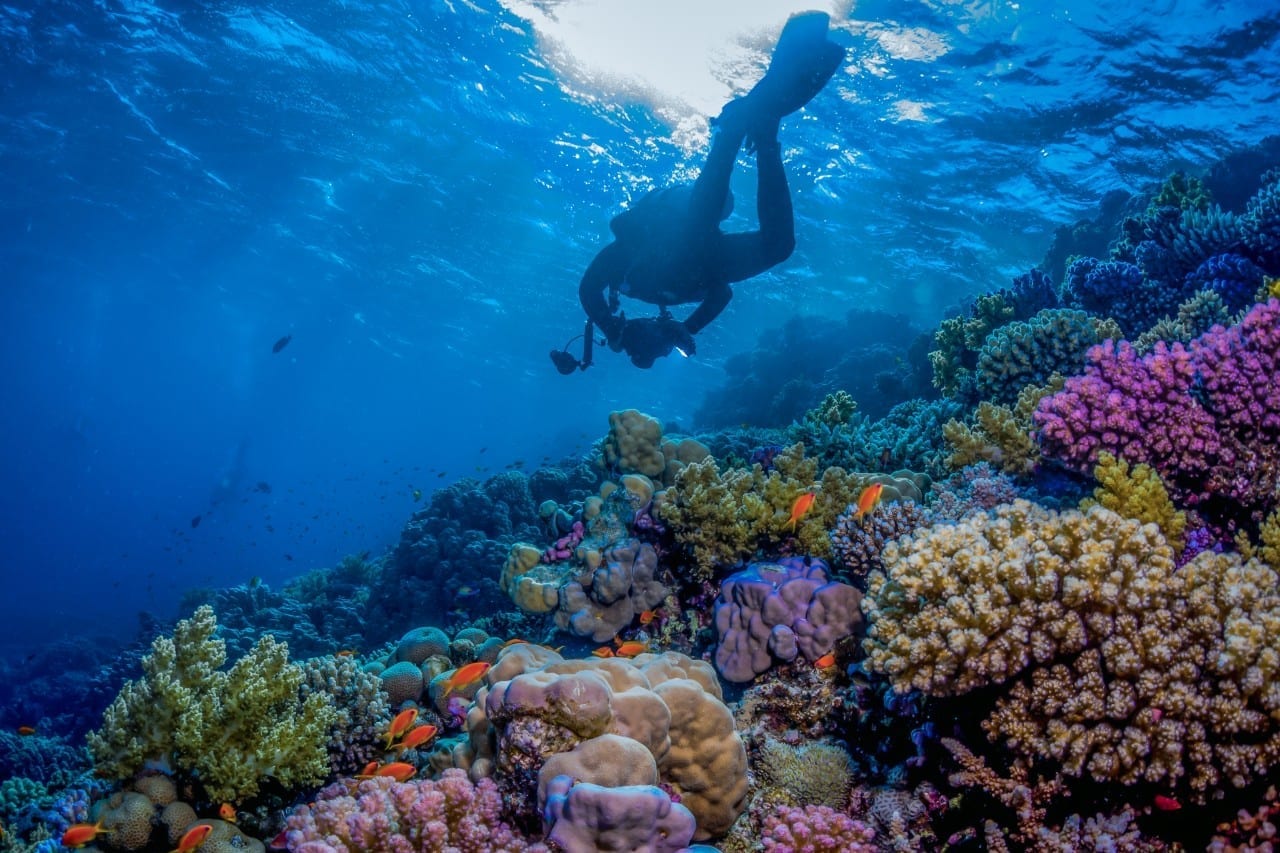 Red Sea, Saudi Arabia